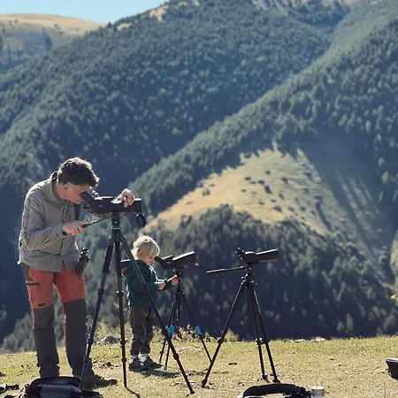 Campsite Basecamps Cerdanya *