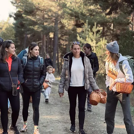 Campsite Basecamps Cerdanya *